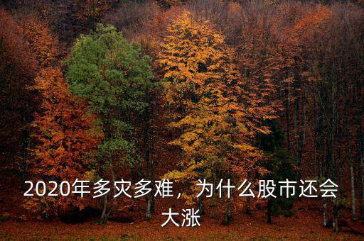 2020年多災(zāi)多難，為什么股市還會大漲