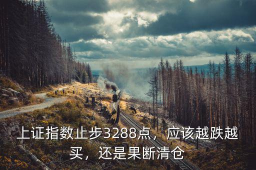 上證指數(shù)止步3288點(diǎn)，應(yīng)該越跌越買(mǎi)，還是果斷清倉(cāng)