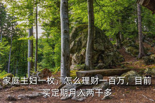 家庭主婦一枚，怎么理財(cái)一百萬，目前買定期月入兩千多