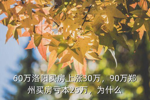 60萬洛陽買房上漲30萬，90萬鄭州買房虧本25萬，為什么