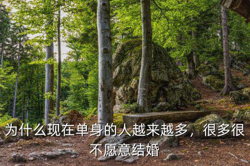 為什么現在單身的人越來越多，很多很不愿意結婚