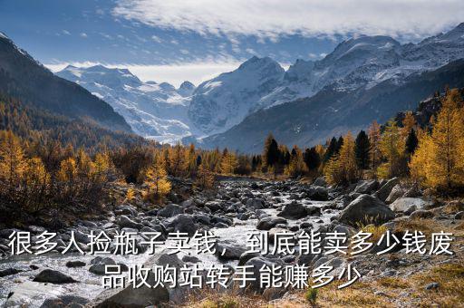 很多人撿瓶子賣錢，到底能賣多少錢廢品收購站轉(zhuǎn)手能賺多少