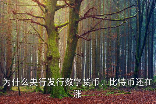 為什么央行發(fā)行數(shù)字貨幣，比特幣還在漲