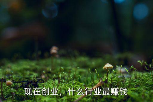 現(xiàn)在創(chuàng)業(yè)，什么行業(yè)最賺錢
