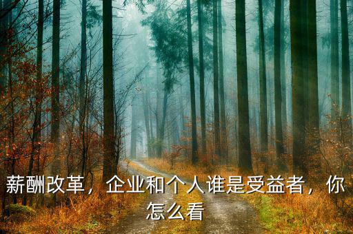 薪酬改革，企業(yè)和個(gè)人誰是受益者，你怎么看