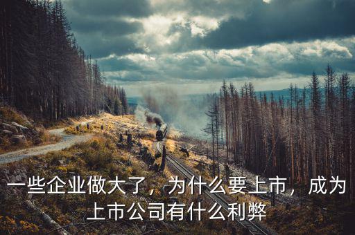 一些企業(yè)做大了，為什么要上市，成為上市公司有什么利弊