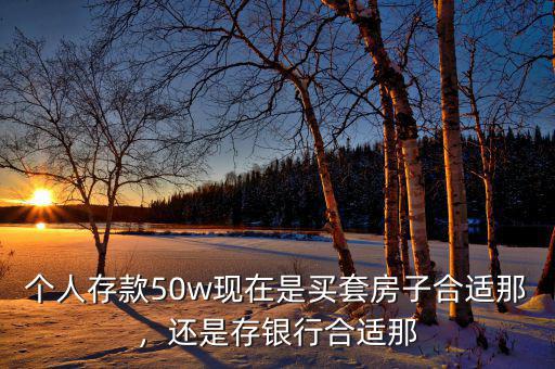 個(gè)人存款50w現(xiàn)在是買套房子合適那，還是存銀行合適那