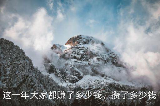 這一年大家都賺了多少錢，攢了多少錢