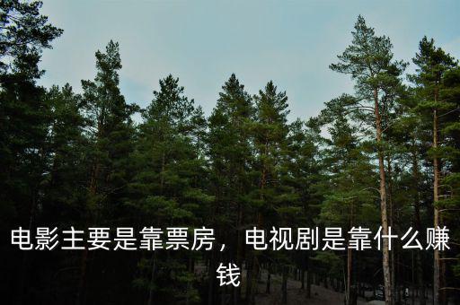 電影主要是靠票房，電視劇是靠什么賺錢