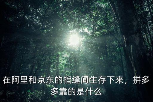 在阿里和京東的指縫間生存下來(lái)，拼多多靠的是什么