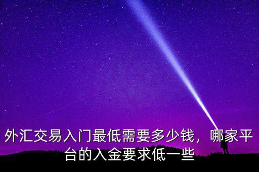 外匯交易入門最低需要多少錢，哪家平臺(tái)的入金要求低一些