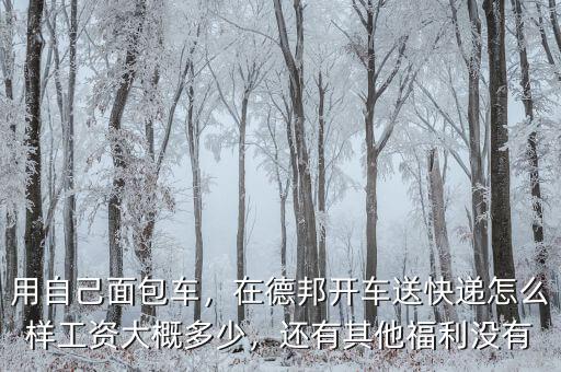 用自己面包車(chē)，在德邦開(kāi)車(chē)送快遞怎么樣工資大概多少，還有其他福利沒(méi)有