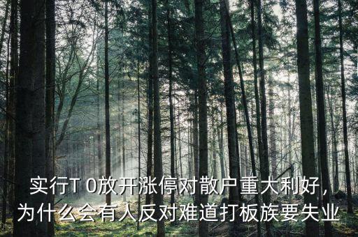 實行T 0放開漲停對散戶重大利好，為什么會有人反對難道打板族要失業(yè)