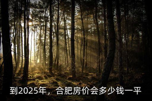 到2025年，合肥房價會多少錢一平