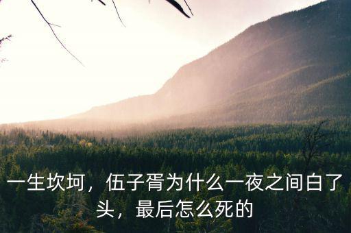 一生坎坷，伍子胥為什么一夜之間白了頭，最后怎么死的