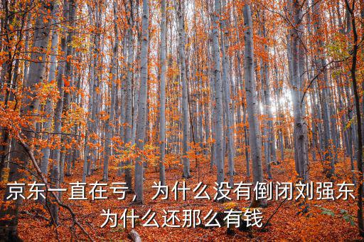 京東一直在虧，為什么沒有倒閉劉強(qiáng)東為什么還那么有錢