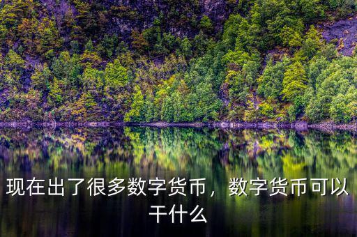 現(xiàn)在出了很多數(shù)字貨幣，數(shù)字貨幣可以干什么