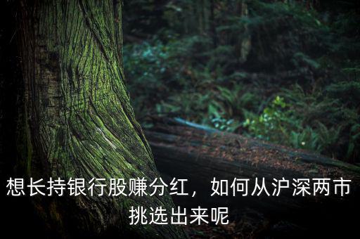 想長持銀行股賺分紅，如何從滬深兩市挑選出來呢
