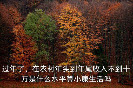 過(guò)年了，在農(nóng)村年頭到年尾收入不到十萬(wàn)是什么水平算小康生活嗎
