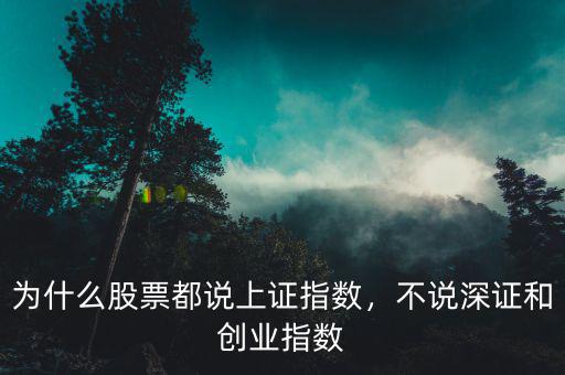 為什么股票都說(shuō)上證指數(shù)，不說(shuō)深證和創(chuàng)業(yè)指數(shù)