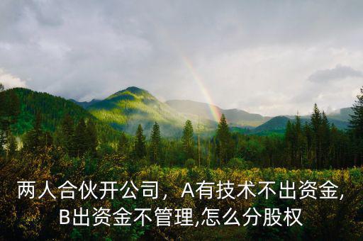 兩人合伙開(kāi)公司，A有技術(shù)不出資金,B出資金不管理,怎么分股權(quán)