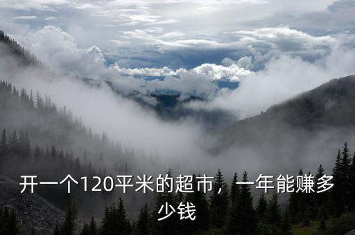開一個120平米的超市，一年能賺多少錢