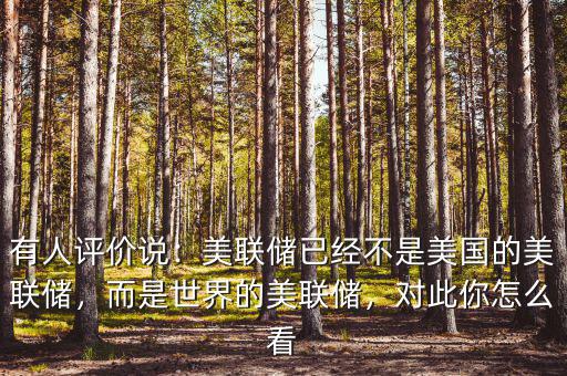 有人評(píng)價(jià)說(shuō)：美聯(lián)儲(chǔ)已經(jīng)不是美國(guó)的美聯(lián)儲(chǔ)，而是世界的美聯(lián)儲(chǔ)，對(duì)此你怎么看