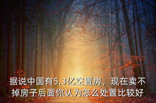 據(jù)說(shuō)中國(guó)有5.3億空置房，現(xiàn)在賣不掉房子后面你認(rèn)為怎么處置比較好