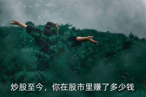 炒股至今，你在股市里賺了多少錢(qián)
