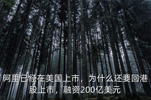 阿里已經(jīng)在美國上市，為什么還要回港股上市，融資200億美元