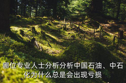 哪位專業(yè)人士分析分析中國石油、中石化為什么總是會(huì)出現(xiàn)虧損