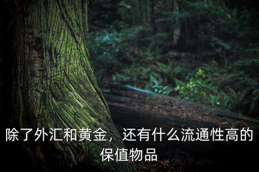 除了外匯和黃金，還有什么流通性高的保值物品
