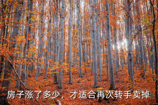 房子漲了多少，才適合再次轉(zhuǎn)手賣(mài)掉
