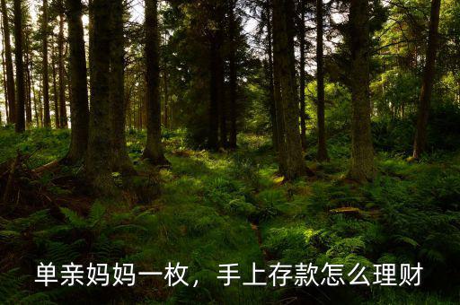 單親媽媽一枚，手上存款怎么理財(cái)