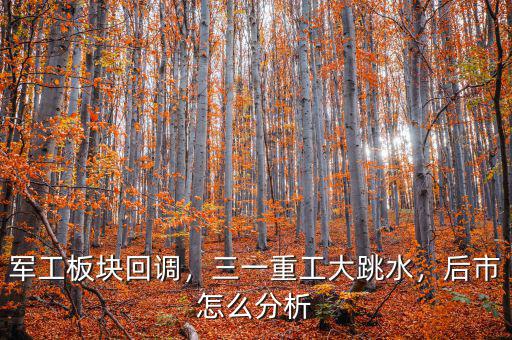 軍工板塊回調(diào)，三一重工大跳水，后市怎么分析