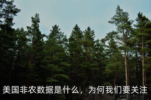 美國(guó)非農(nóng)數(shù)據(jù)是什么，為何我們要關(guān)注