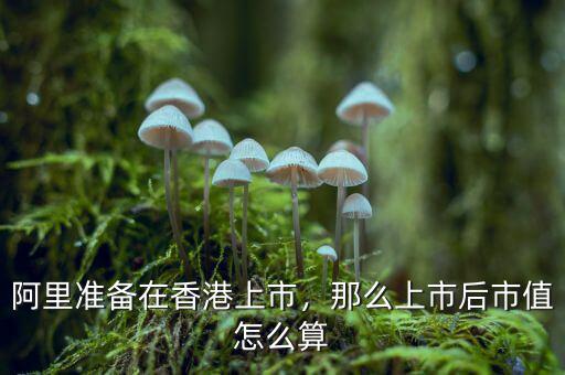 阿里準(zhǔn)備在香港上市，那么上市后市值怎么算