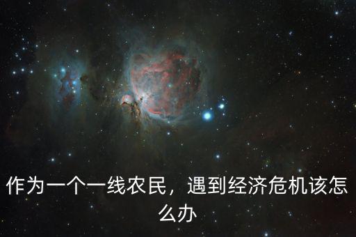 作為一個一線農民，遇到經濟危機該怎么辦