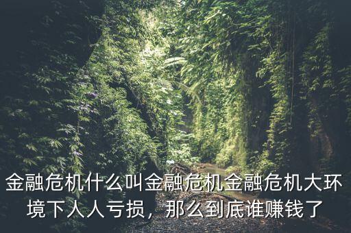 金融危機(jī)什么叫金融危機(jī)金融危機(jī)大環(huán)境下人人虧損，那么到底誰賺錢了