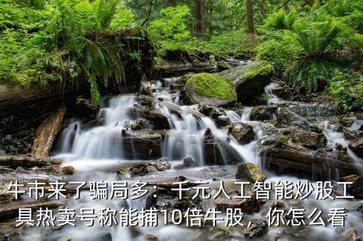 牛市來了騙局多：千元人工智能炒股工具熱賣號(hào)稱能捕10倍牛股，你怎么看