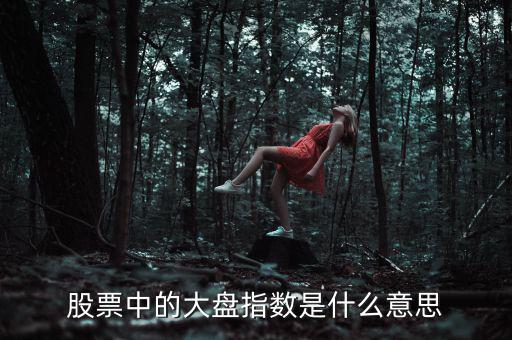 股票中的大盤(pán)指數(shù)是什么意思