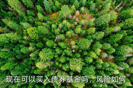 現(xiàn)在可以買入債券基金嗎，風險如何