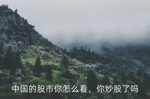 中國(guó)的股市你怎么看，你炒股了嗎