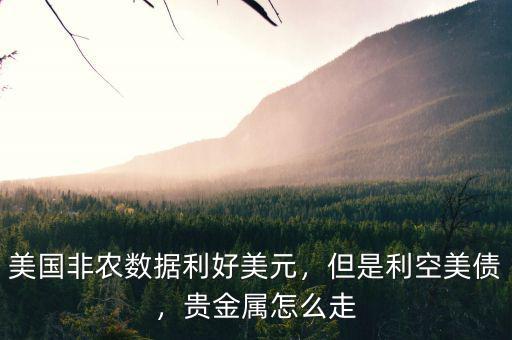 美國非農數據利好美元，但是利空美債，貴金屬怎么走