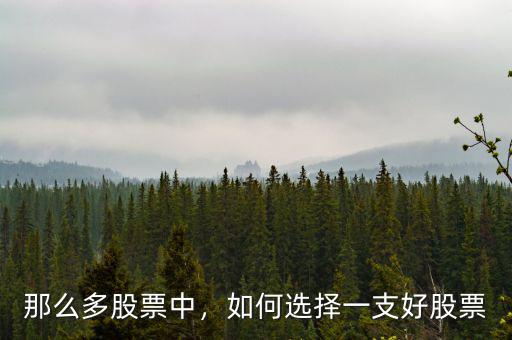 那么多股票中，如何選擇一支好股票