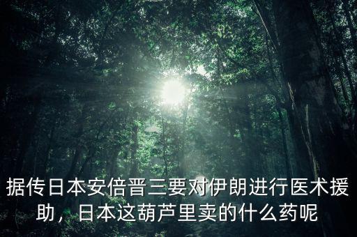 據(jù)傳日本安倍晉三要對(duì)伊朗進(jìn)行醫(yī)術(shù)援助，日本這葫蘆里賣(mài)的什么藥呢