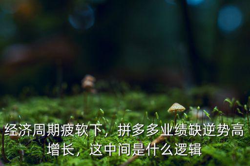 經(jīng)濟(jì)周期疲軟下，拼多多業(yè)績(jī)?nèi)蹦鎰?shì)高增長(zhǎng)，這中間是什么邏輯