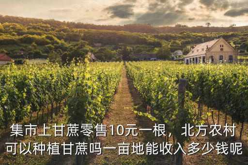 集市上甘蔗零售10元一根，北方農(nóng)村可以種植甘蔗嗎一畝地能收入多少錢呢