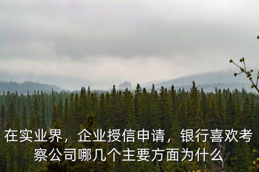 在實(shí)業(yè)界，企業(yè)授信申請，銀行喜歡考察公司哪幾個(gè)主要方面為什么