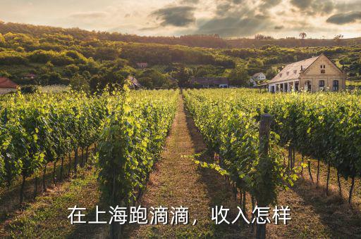 在上海跑滴滴，收入怎樣